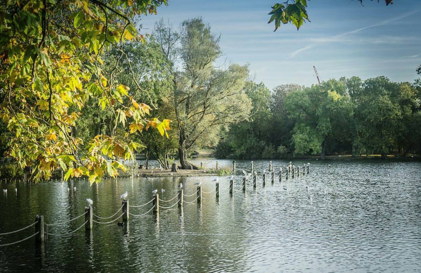 Londra gezi rehberi ve Londra gezilecek yerler