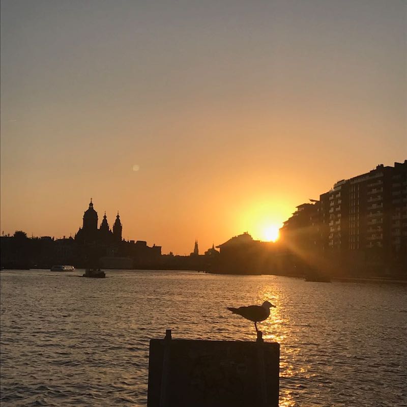 Amsterdam'da İş Bulmak