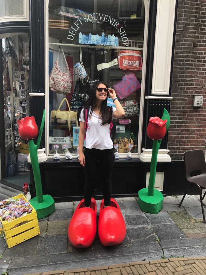 Hollanda'da İş Bulma Rehberi