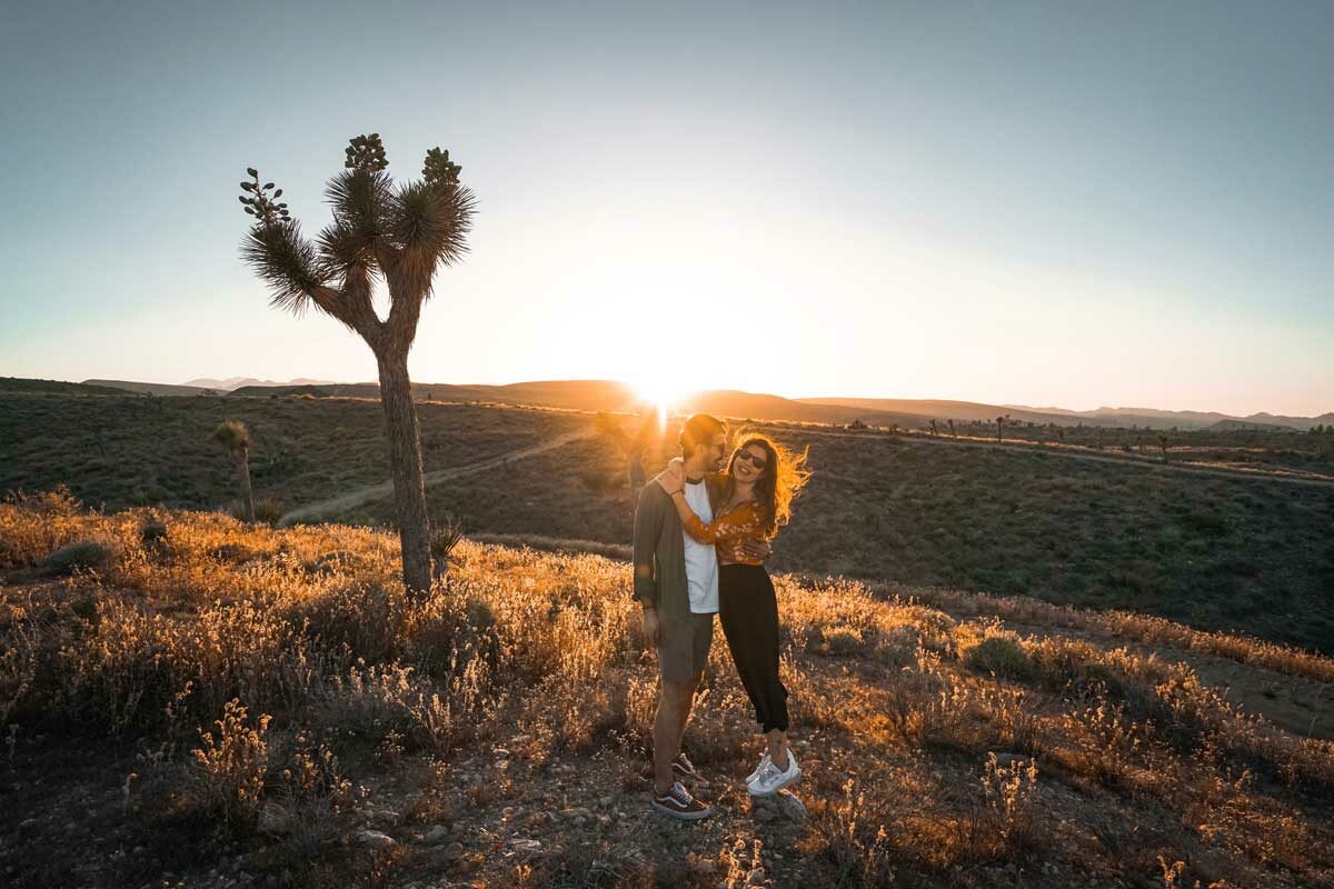 Joshua Tree Gezi Rehberi