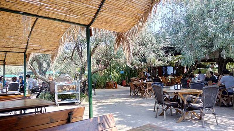 Türkiye'nin en güzel kamp yerleri