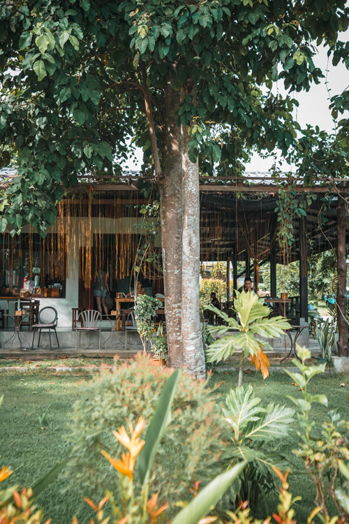 Koh Samui Gezi Rehberi